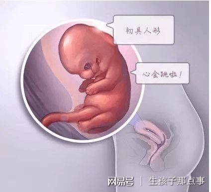 42岁PGT成功案例